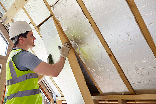 Best Eco-Friendly Insulation Solutions  in Dumas, AR